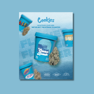 Flyers Design
